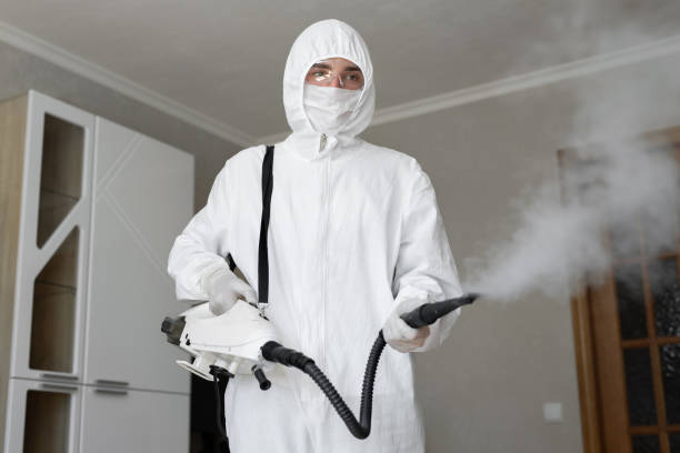 Best Mold Prevention Services in USA